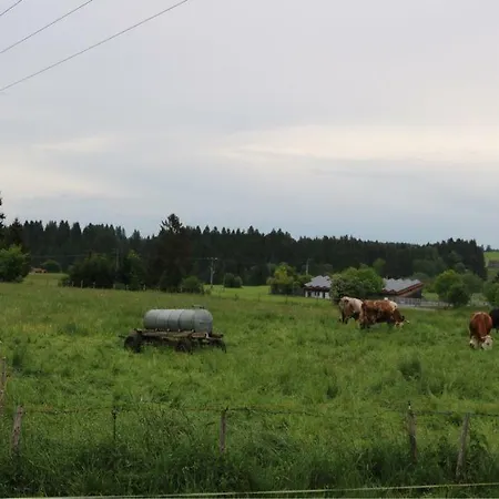 Ferienhaus Julia * Illach